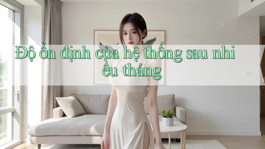 Độ ổn định của hệ thống sau nhiều tháng Độ ổn định của hệ thống sau nhiều tháng